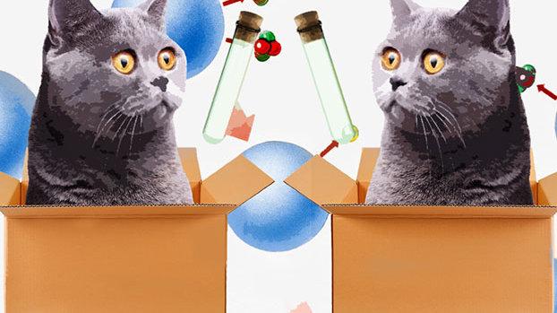 在多重宇宙中,你就不用担心自己会“好奇心害死猫”了。