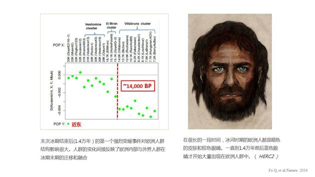 典型的欧洲人——金发碧眼