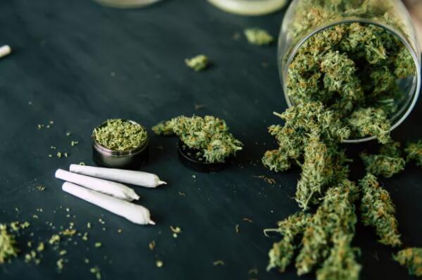 大麻含有四氢大麻酚,一种能通过血脑屏障的精神活性化学物质