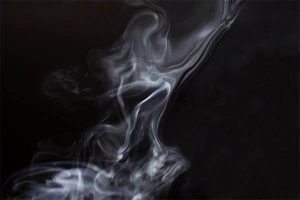 美国最新研究显示,哺乳动物大脑中普遍存在具有致幻效果的二甲基色胺,而且是自然产生的。这一发现是研究二甲基色胺的第一步,并有助于弄清该物质在人类大脑中的具体作用。