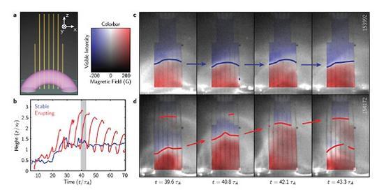 美国能源部普林斯顿等离子体物理学实验室的物理学家利用磁场重联实验(MRX)对等离子体环的两种发展过程——一是形成之后崩塌(图中上方分图),二是形成之后断裂(图中下方分图)——进行追踪。研究人员认为,等离子体环的稳定性是由一种“指引性磁场”的强度决定的。