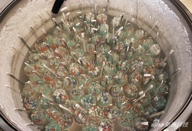 一个体积并不大的液氮精桶中可以存放3万份精子样本
