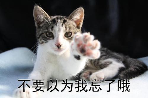 五毛拿好不送