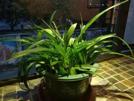 最小光圈所拍