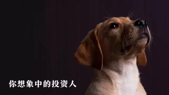 张泉灵说这是“你想象中的投资人”的写照
