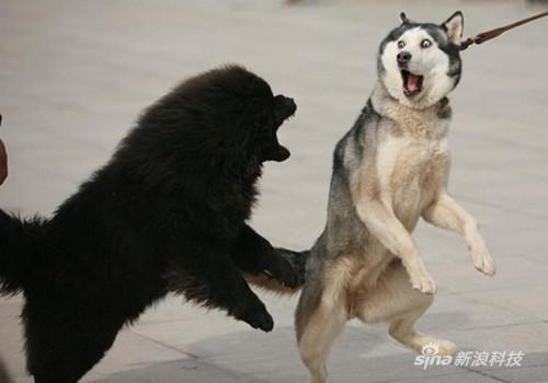 滚犊砸~~