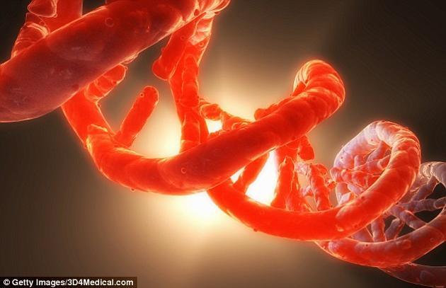 科学家认为,遗传机制之所以不再变化,可能是因为DNA翻译产生蛋白质的方式本身存在着某种限制。