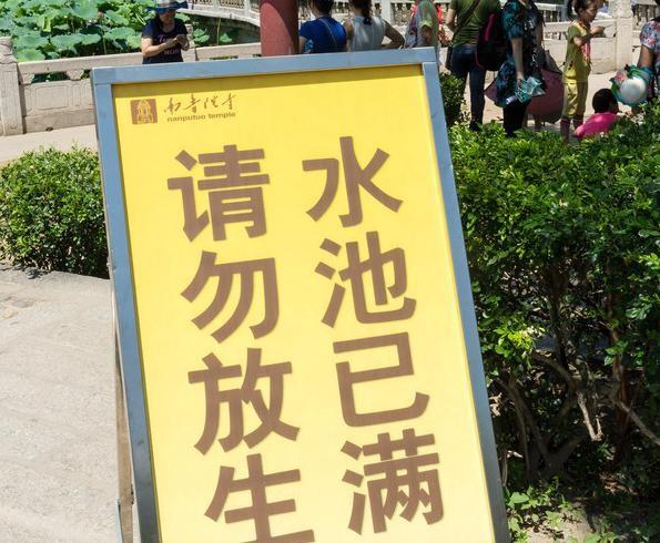 图5. 寺内工作人员贴出告示牌,提醒善男信女不要往池内放生