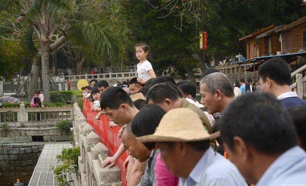 图1. 南普陀寺放生池(2016年4月8日工作人员进行“大清理”,现场引来大量市民围观)