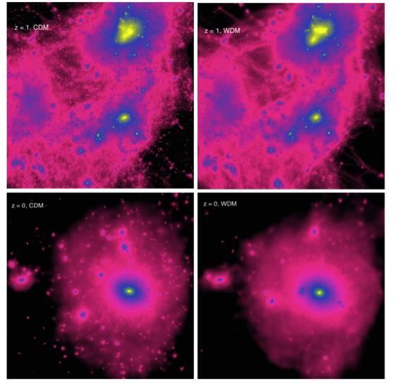 图3 冷暗物质宇宙(左)和温暗物质宇宙(右)数值模拟中形成的暗晕。可以看到温暗物质数值模拟中子暗晕的数目显著减少(Bose et al. 2016,MNRAS,455,318)。