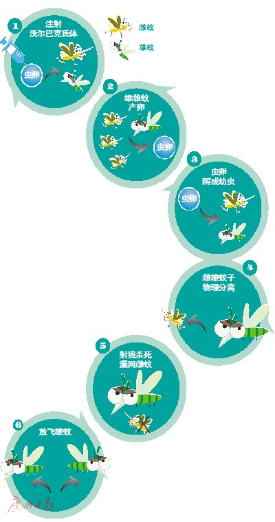 成虫饲养区。