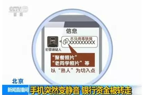 图为央视节目截图