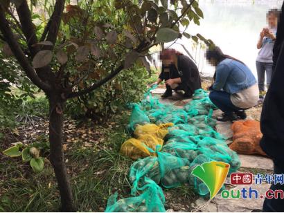放生者将巴西龟运至未名湖翻尾石鱼对岸 图片来源:北大未名BBS