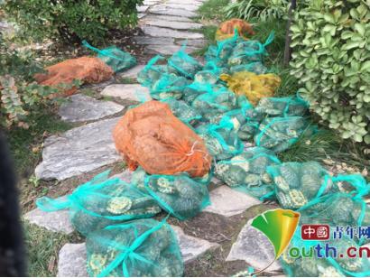 用编织袋装好的巴西龟被放在地下 图片来源:北大未名BBS