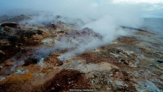 冰岛火山区发现的名为“Galdieria sulphuraria”的温泉红藻。