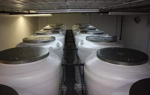 Cryonics Institute内部
