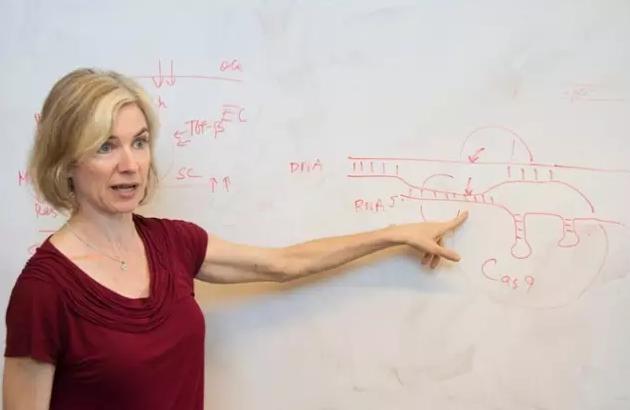 ► 加州大学伯克利分校的分子生物学家Jennifer Doudna是最早发现CRISPR-Cas9的科学家之一。Credit:Cailey Conner,加州大学伯克利分校