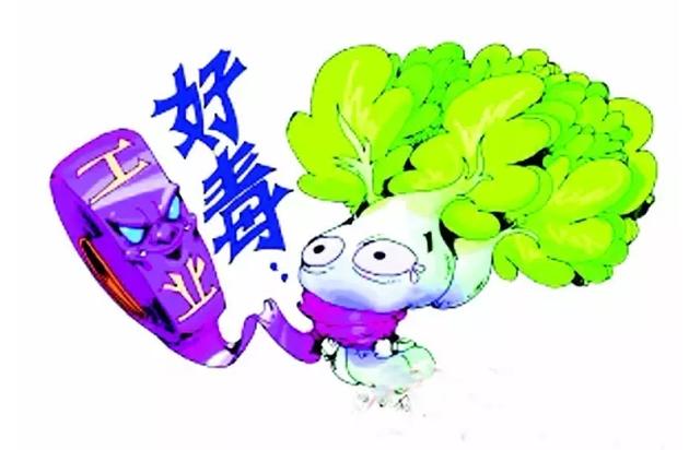 图片来自网络