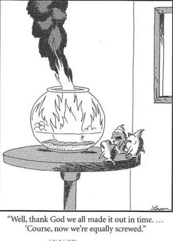 重复研究中使用的其中一幅漫画。一条金鱼说:“谢天谢地我们逃出来了……不过现在,我们也一样完蛋了。”图片来源:The Far Side