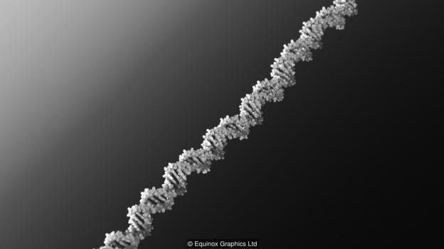 DNA几乎是所有生物的核心成分。