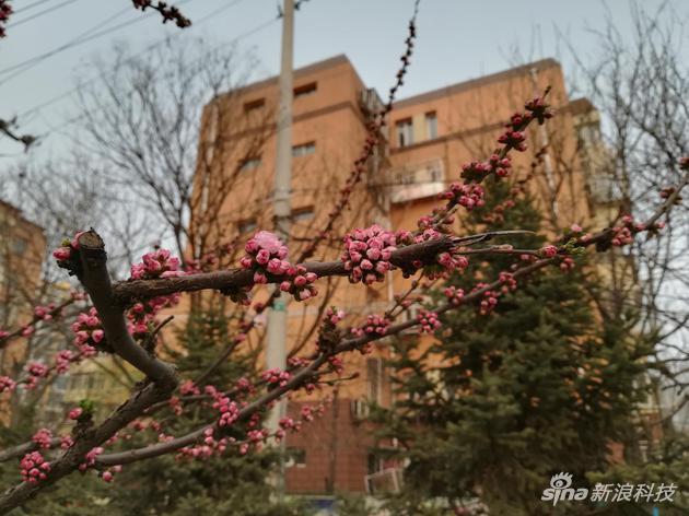细节样张
