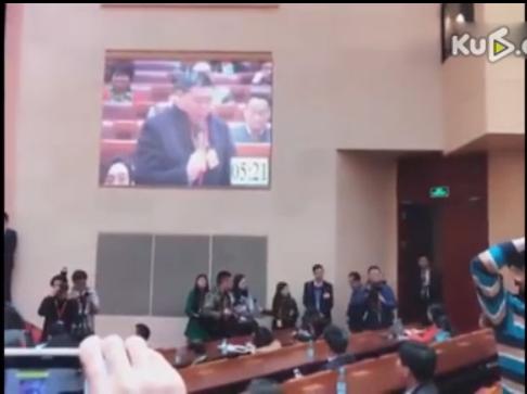 广东省政协委员苏忠阳发言(视频截图)
