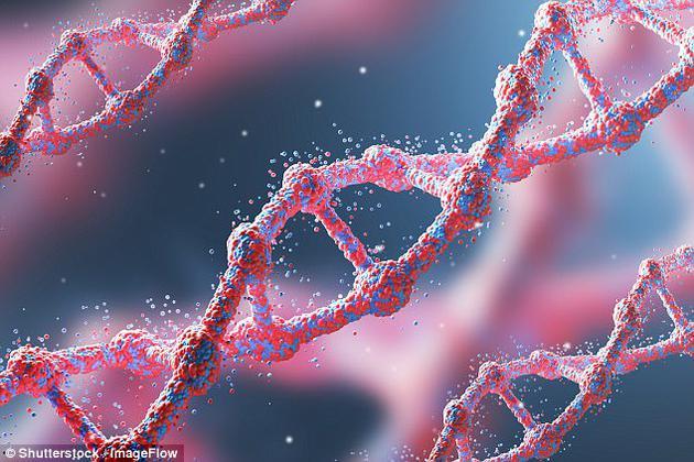 最新研究显示,基因突变会损害人们健康,同时使我们变得更笨。