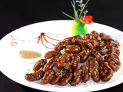 流言揭秘：吃蝉蛹真的“大补”吗？