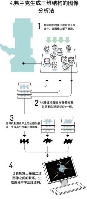 图四:弗兰克生成三维结构的图像分析法