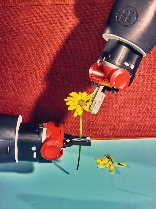 在布朗大学的机器人研究实验室Humans to Robots,机器人“温妮”(Winnie)在学习如何操纵外形不规则又小巧易坏的物体