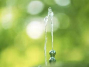 流言揭秘：网传“洗澡时间太长致癌”？辟谣！