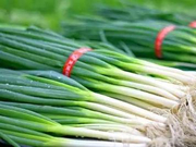 流言揭秘：疯传的