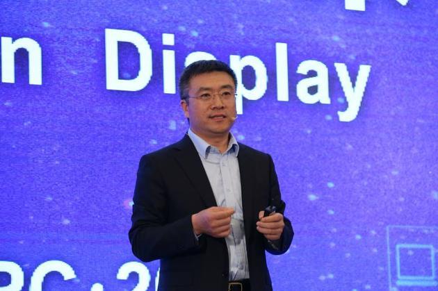 BOE(京东方)显示和传感器件事业群首席执行官张兆洪