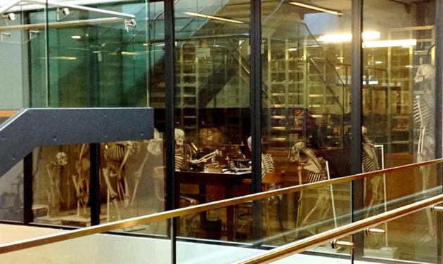 拍摄于学校某楼。自行配词:“致PhD:要记得,即使在驾鹤西去变成骨架后,你们还是要继续做实验的……”供图:作者