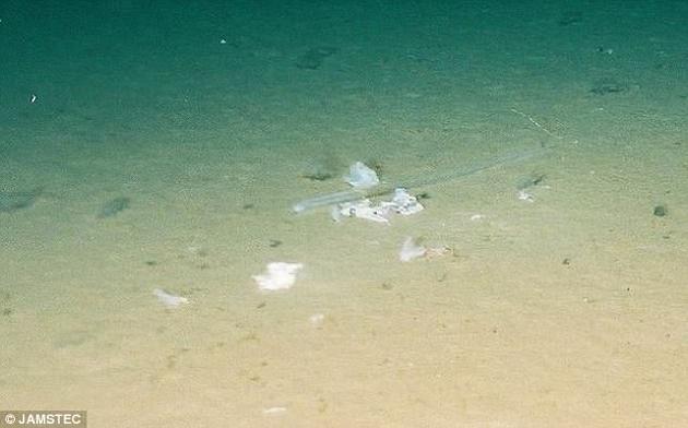 这张马里亚纳海沟底部塑料袋的图片拍摄于1998年5月20日,距离海面为10898米。