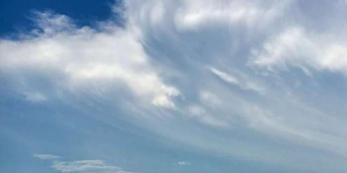 科学家在空气中发现大量微小的真菌碎片