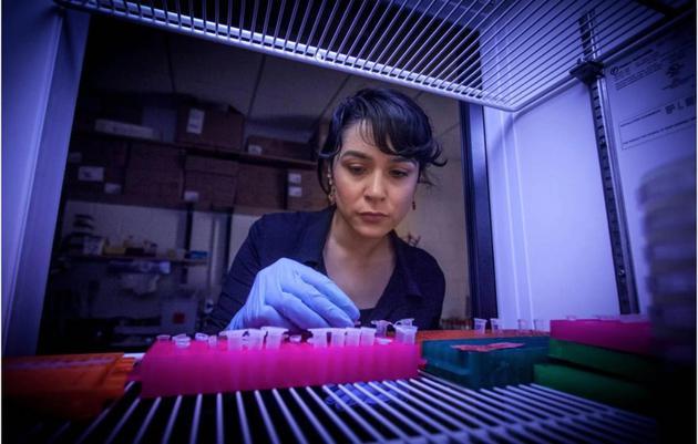 美国亚利桑那州大学天体生物学家贝图尔·卡查尔在进行实验。