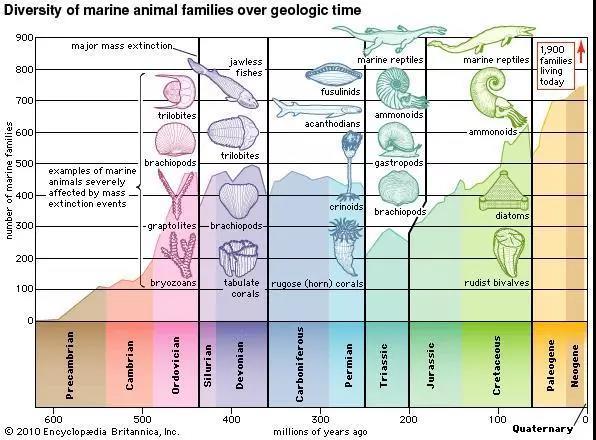 图中粉红色的部分即是奥陶纪 | britannica.com