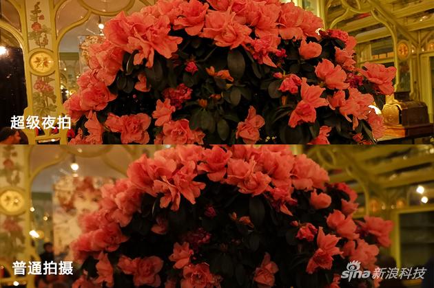超级夜拍能让画面更亮(中间绿叶区域)