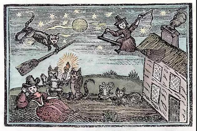 在这幅木刻版画中,17世纪的猫被认为是女巫的同类。图源:Mary Evans Picture Library