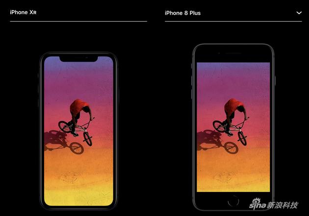 iPhone XR跟iPhone 8 Plus大小对比(图片来自苹果官网)