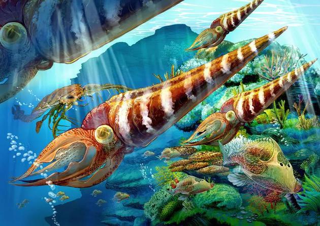 奥陶纪的繁荣景象 | The Ordovician Period: Climate and Geography