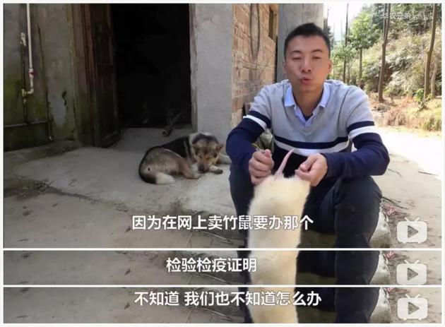 华农兄弟自述不知如何获得检验检疫证明