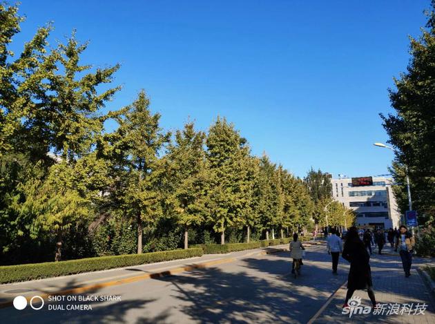 日间样张2,天空颜色似有一些过饱和