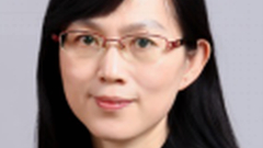 刘明，中国科学院微电子研究所研究员