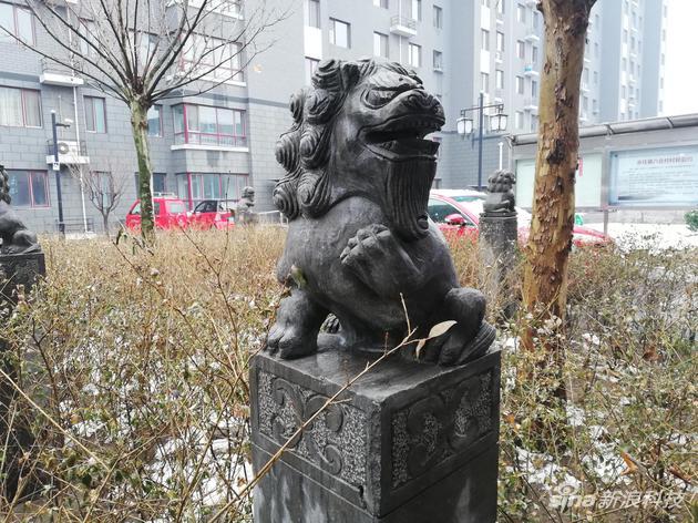 霾天拍摄的室外样张:对比度令人满意,但是后面的树干放大后涂抹痕迹略重