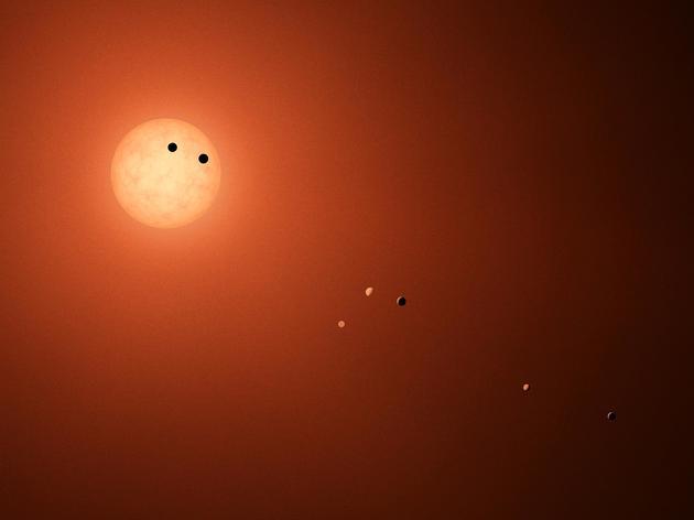 示意图:TRAPPIST-1系统,拥有7个岩石行星