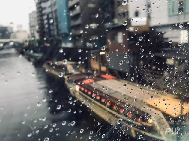iPhone X + 雨伞,反差色