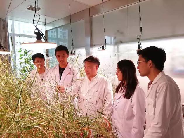 在模拟实验室指导学生开展科学实验(图片来源:作者提供)