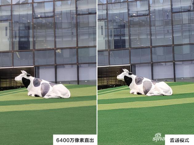 6400万像素直出放大牛身上的斑点细节更好(样张上传后质量有压缩)